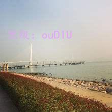 ɹ