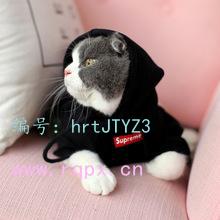 Ȼ